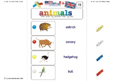 Klammerkarten-animals_13.pdf